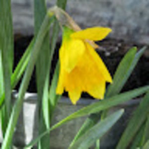 Meet your Posher, Holly